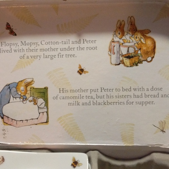 Mini Peter Rabbit Tea Set - Picture 3 of 16
